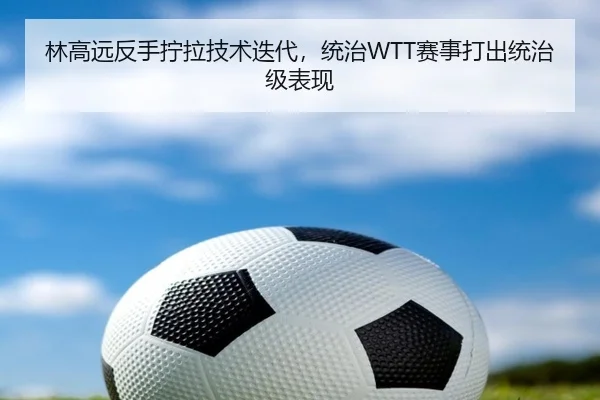 林高远反手拧拉技术迭代，统治WTT赛事打出统治级表现